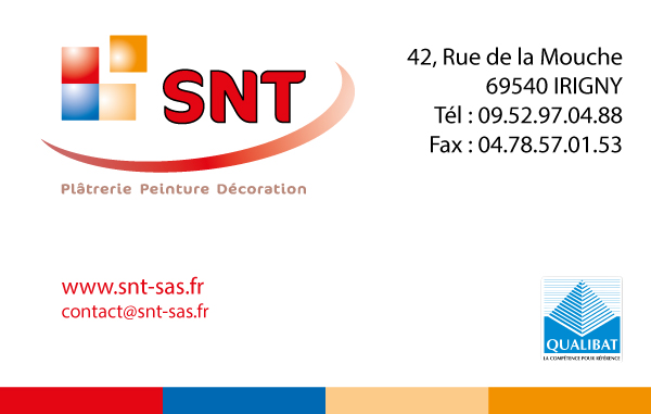 SNT (2)